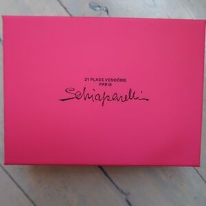 ✨ Authentic Schiaparelli Pink Shoe Box – Luxury Designer Packaging ✨